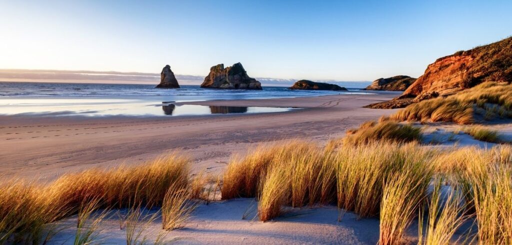New Zealand Immigration